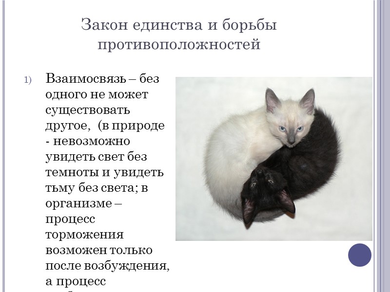 Закон единства и борьбы противоположностей Взаимосвязь – без одного не может существовать другое, 